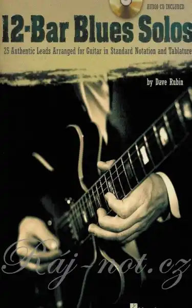 Jen Po Omezenou Doba 12-BAR BLUES SOLOS kytara