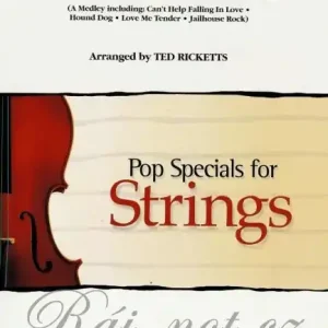 Přímo Od Výrobce A TRIBUTE TO ELVIS string orchestra