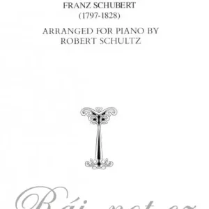Odeslání Ihned Ave Maria noty pro klavír od Franz Schubert - sólo klavír