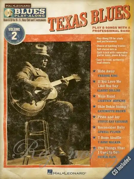 BLUES PLAY ALONG 2 - TEXAS BLUES Poslední Šance