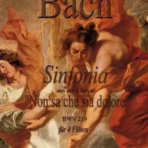 Sinfonia aus Kantate BWV 219 Non sa che sia dolore pro čtyři příčné flétny Akční Cena