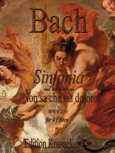 Sinfonia aus Kantate BWV 219 Non sa che sia dolore pro čtyři příčné flétny Akční Cena