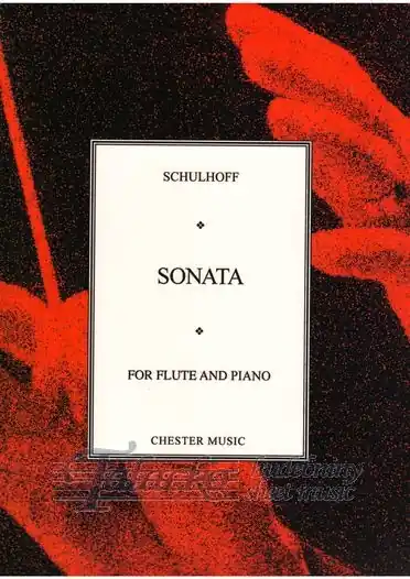 Pouze Dnes Flute Sonata