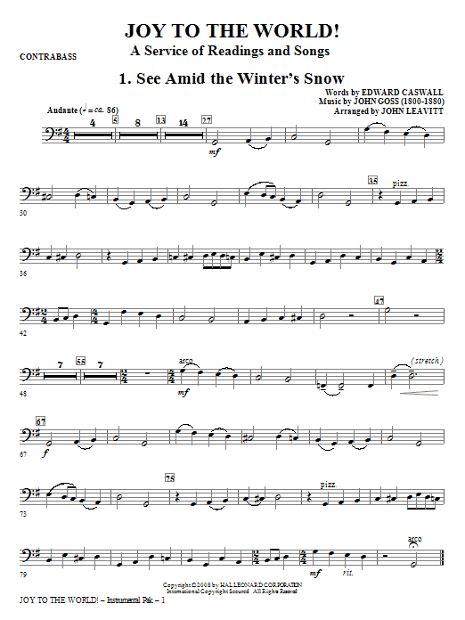 Joy To The World - Bass Expresní Doručení