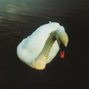 Značkový Rolling Like A Ball